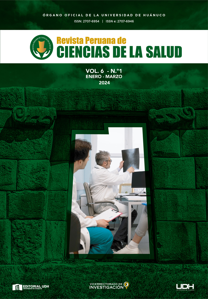 					View Vol. 6 No. 2 (2024): Revista Peruana de Ciencias de la Salud (abr-jun)
				