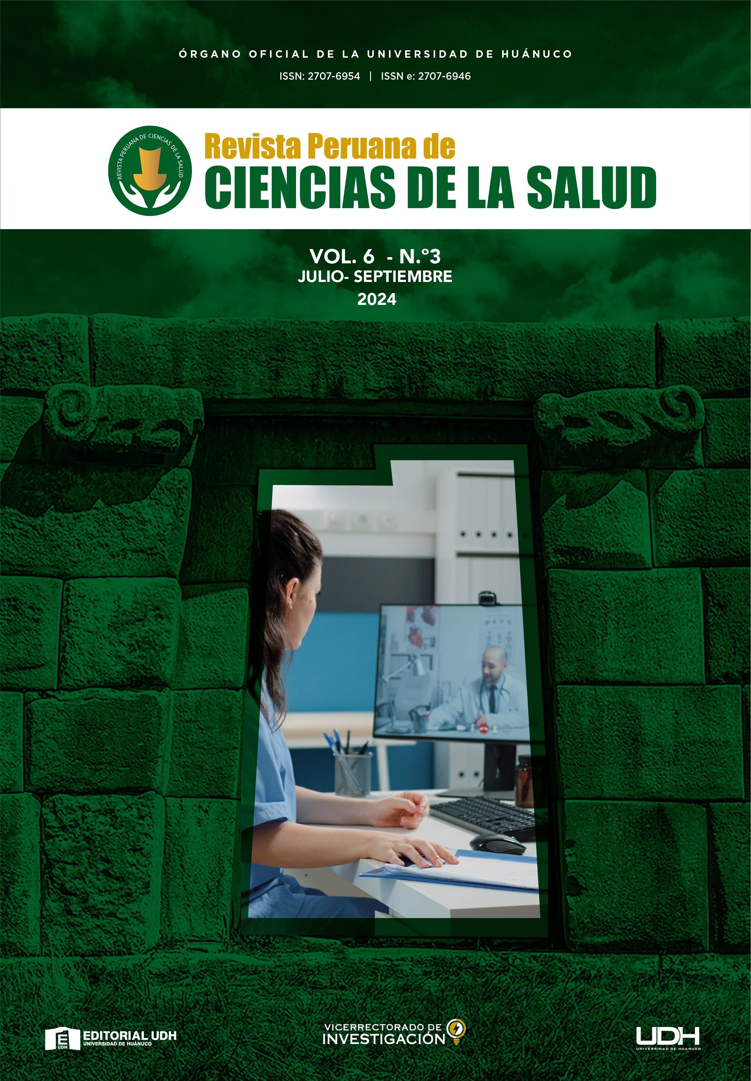 					View Vol. 6 No. 3 (2024): Revista Peruana de Ciencias de la Salud (jul-set)
				